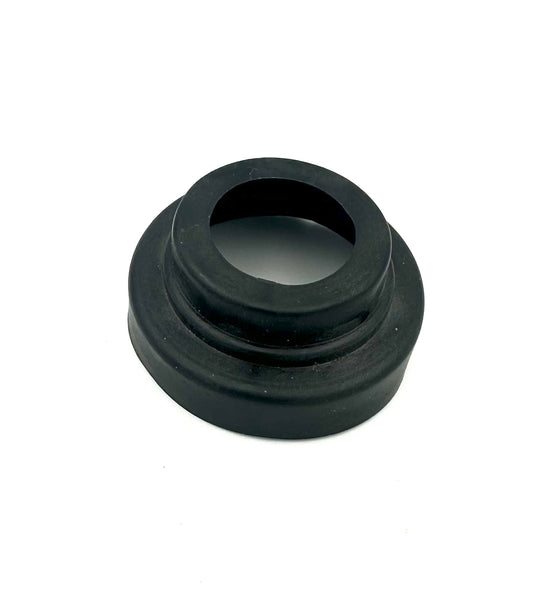 Seal for steering stem bearing